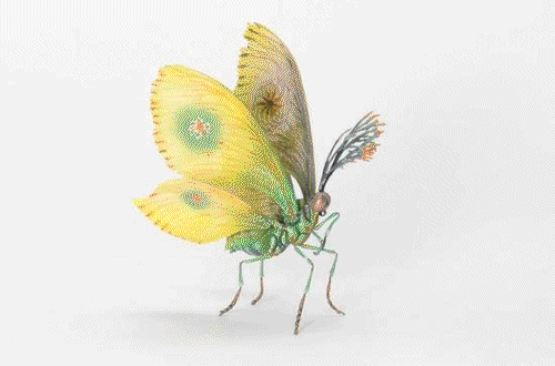 11.gif